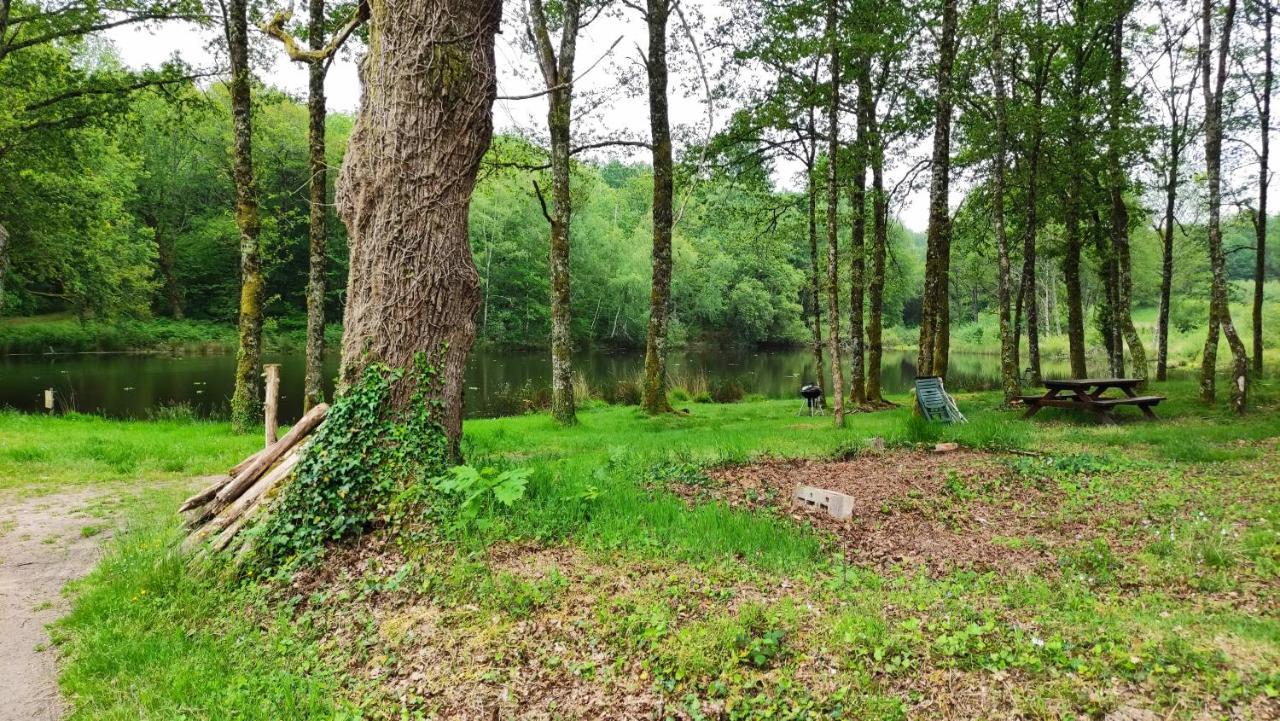 Cap Nature - T4 Et T3 En Perigord Vert - Ideal Pros Et Groupes Max 18P Champniers-et-Reilhac Kültér fotó